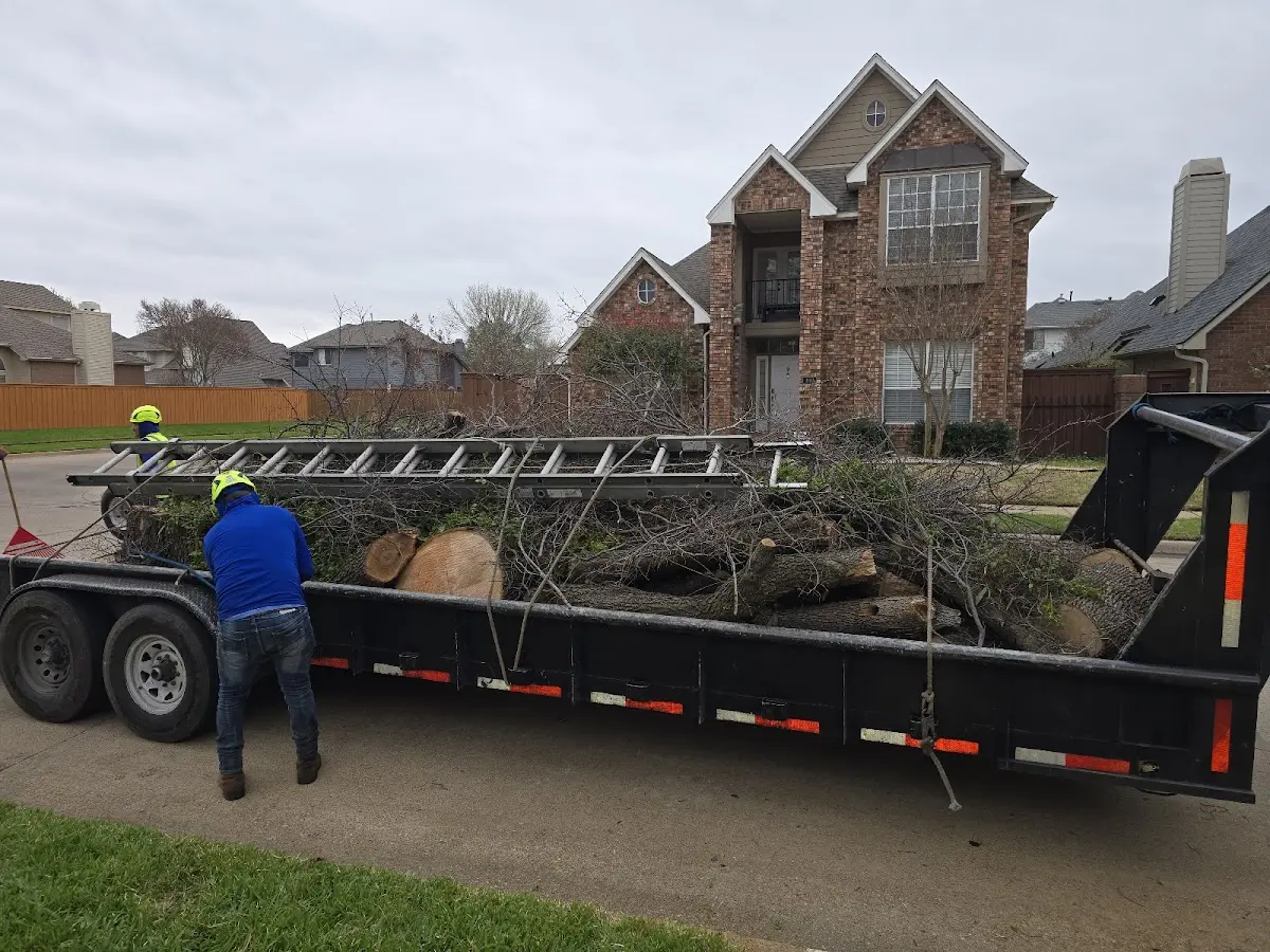 Expert Tree Fertilization with proper safety equipment in Flushing